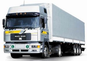 Нормы по выбросам CO2 грузовиками обсудят в Ганновере