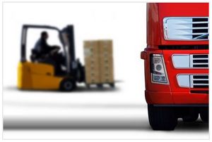 Утвержден перечень казенных и бюджетных учреждений в ведомстве Минтранса РФ